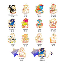 Load image into Gallery viewer, tokidoki Summer Concert Metal Badge Blind Box
